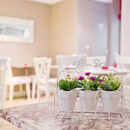 Patio Wilson Готель 2*